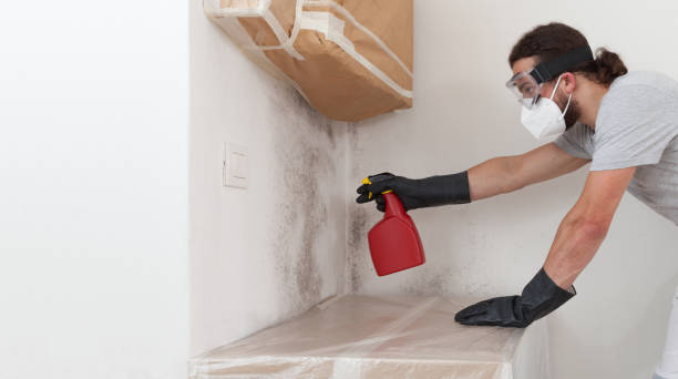 Professional Attic Mold Remediation technician working in Lumberton, NC