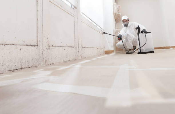 24/7 Emergency Attic Mold Remediation experts in Lumberton, NC