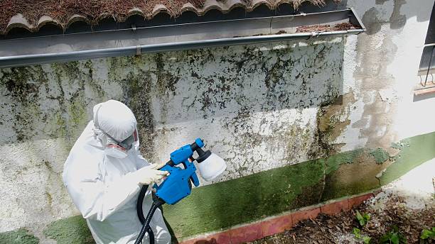 Top rated local Attic Mold Remediation specialists in Lumberton, NC